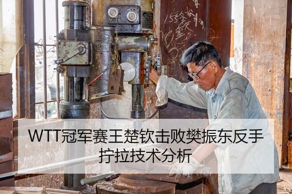 WTT冠军赛王楚钦击败樊振东反手拧拉技术分析